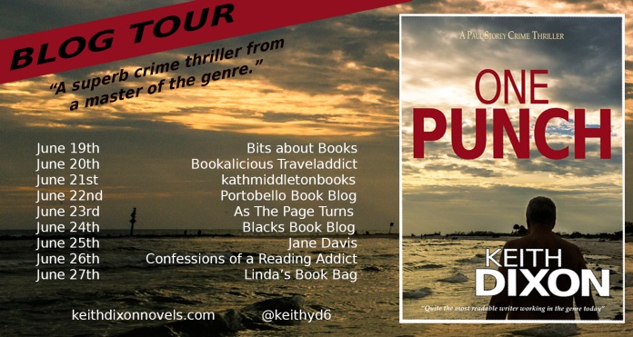 One Punch Blog tour poster.jpg